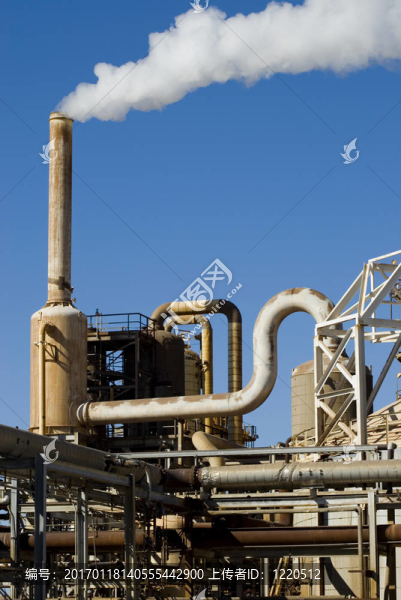 能源植物-匯圖網(wǎng) www.fosd68.com 能源植物