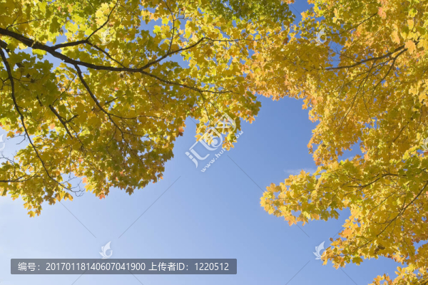 在秋天的天空為你的背景