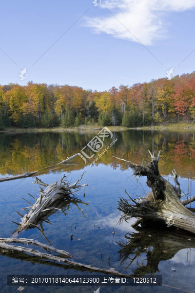 風(fēng)景如畫的水邊