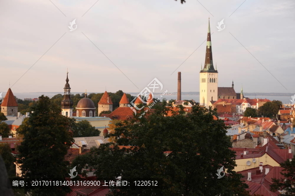 建筑設(shè)計(jì)；大；