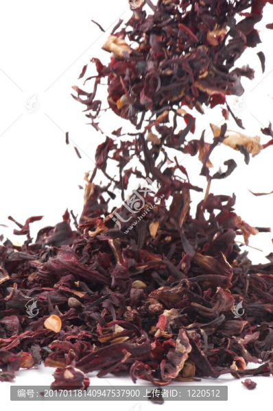 芙蓉茶的宏