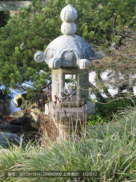 花園里的亞洲燈籠