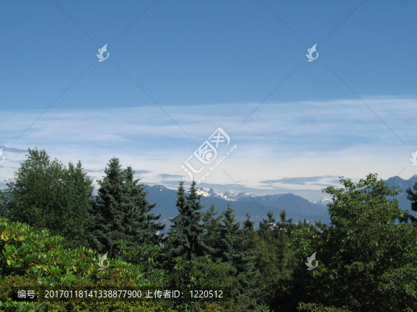 樹木和山頂觀
