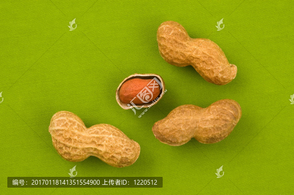 綠色背景花生。