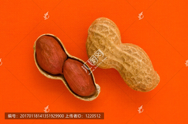 兩花生。