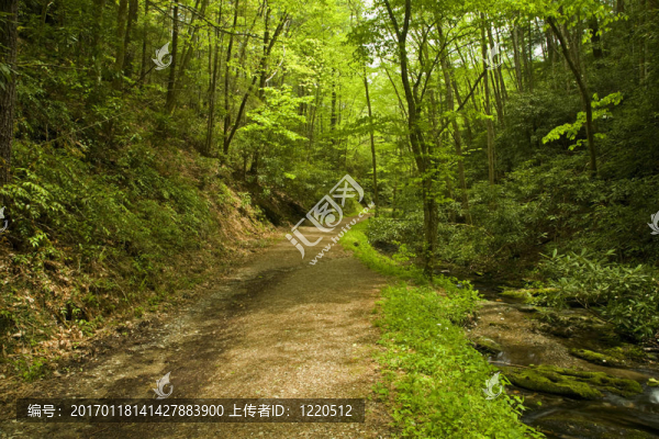 校舍缺口的痕跡；彈簧；大煙山脈NP