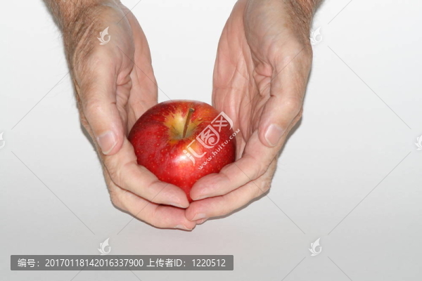 禁果1