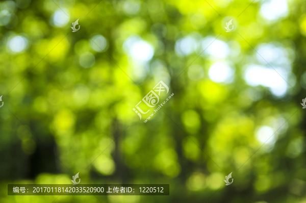 綠色的背景