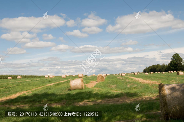 秋天的田野
