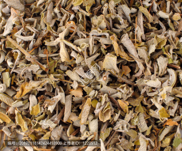 鼠尾草茶-匯圖網(wǎng) www.fosd68.com 鼠尾草茶