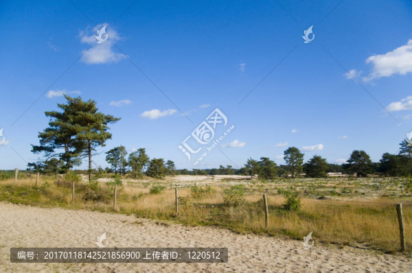 soesterduinen