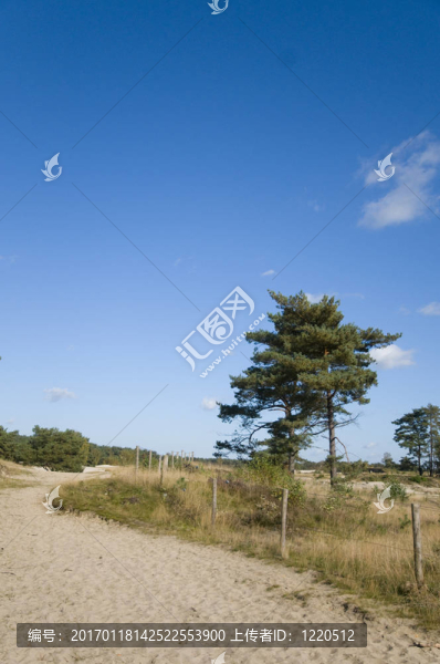 soesterduinen