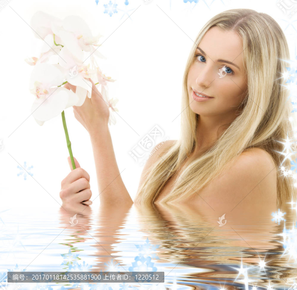 白蘭花