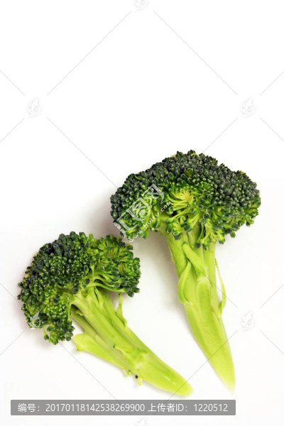 西蘭花白