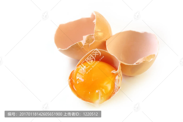 蛋殼和蛋黃