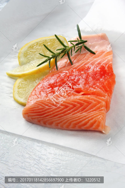 鮭魚(yú)