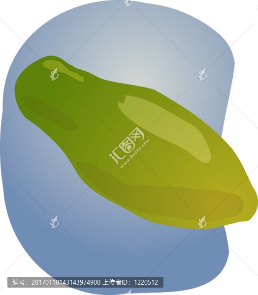 番木瓜果實(shí)插圖