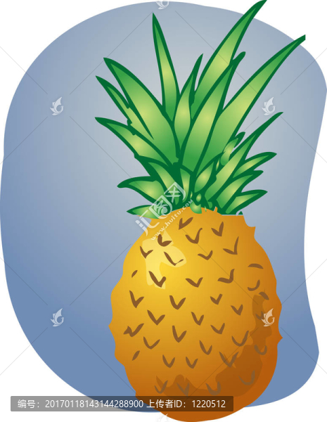 菠蘿果實的插圖