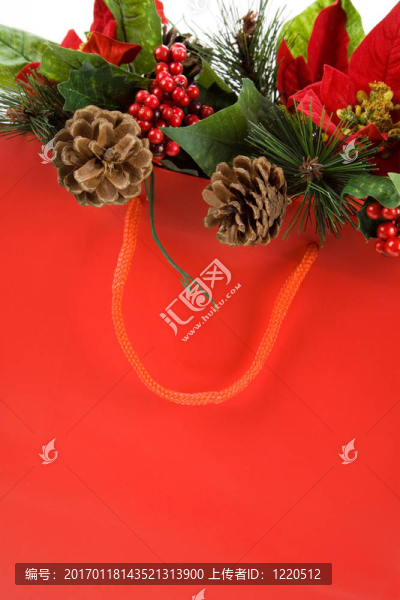圣誕購(gòu)物袋