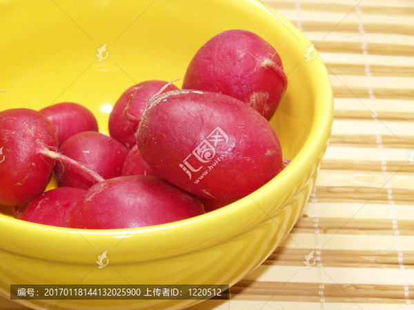 小蘿卜