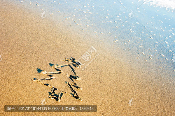 沙灘上的圣誕樹