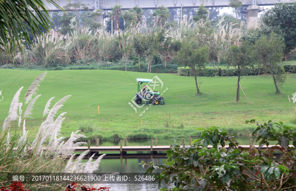 高爾夫球場(chǎng)草坪維護(hù)車(chē)