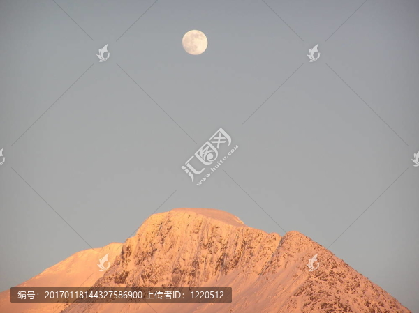 Moon和陽光