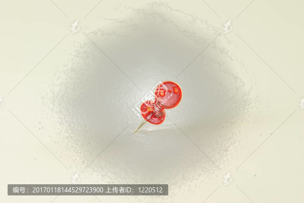 紅針現代流行風格