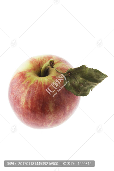 紅嘎拉蘋果