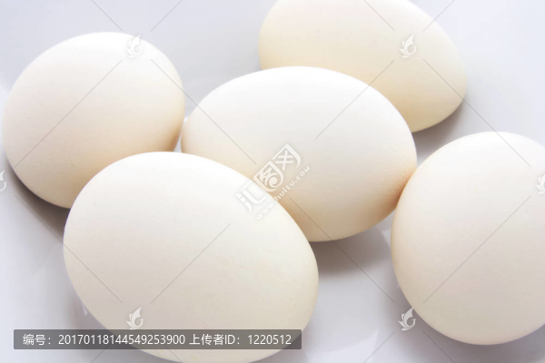 板上的白蛋
