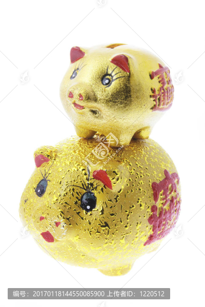 中國金罌