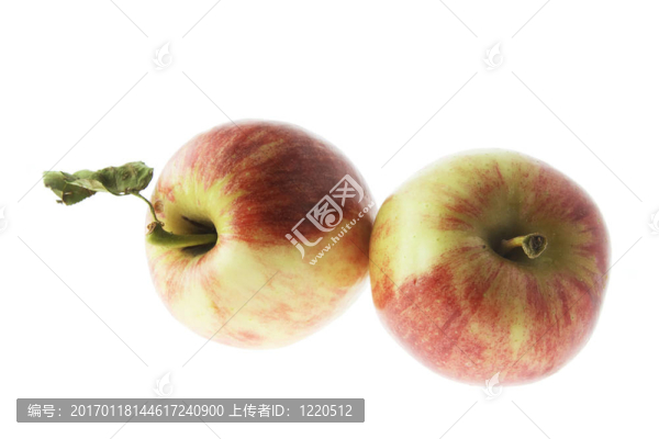 蘋果紅的節(jié)日