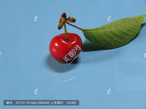 櫻桃特寫(xiě)