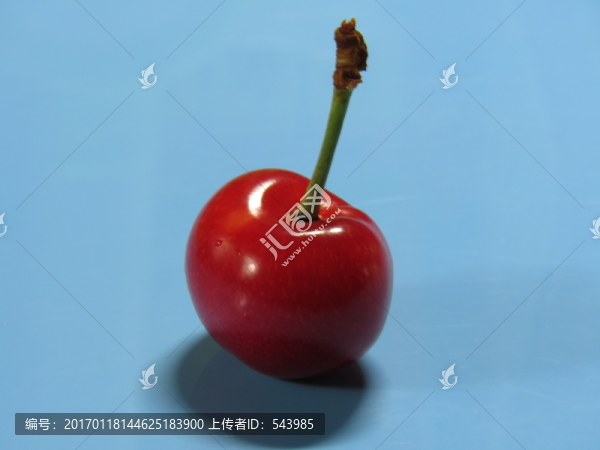 大櫻桃