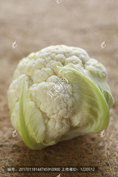 菜花