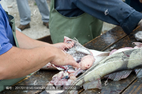 古亭鱈魚上