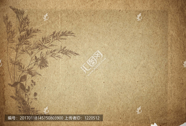 古老的羊皮紙