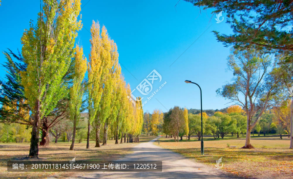 穿過公園的小路