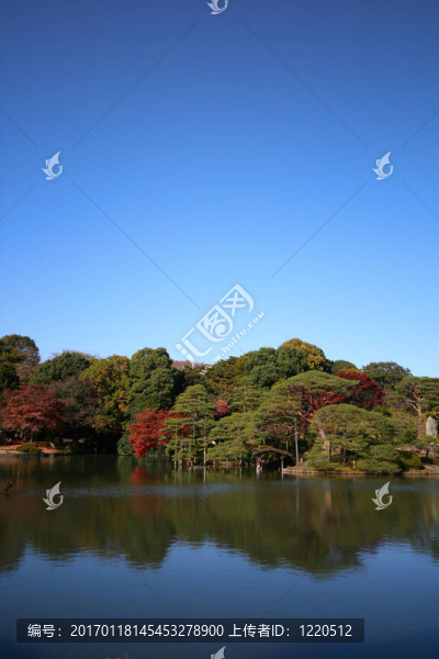 秋天花園藍天