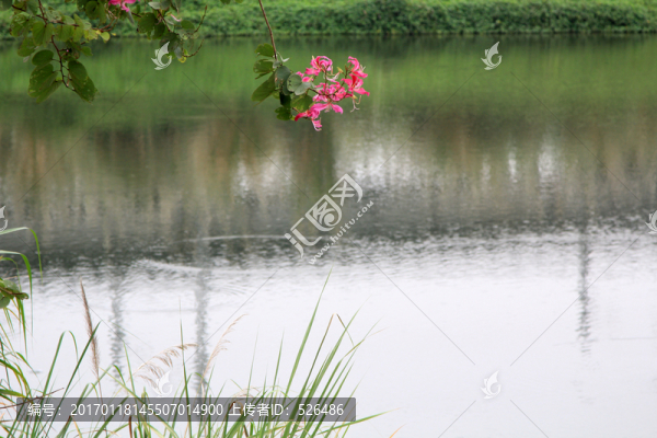 湖景