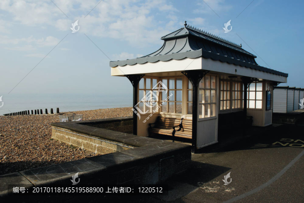 沿海防護(hù)林