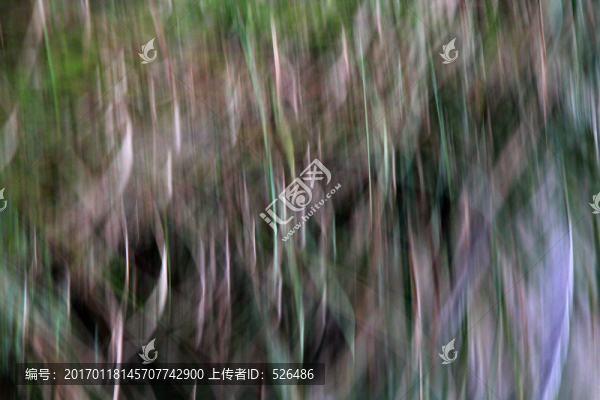 攝影背景