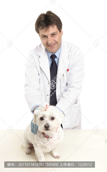 獸醫(yī)在桌上的狗-匯圖網(wǎng) www.fosd68.com 獸醫(yī)在桌上的狗