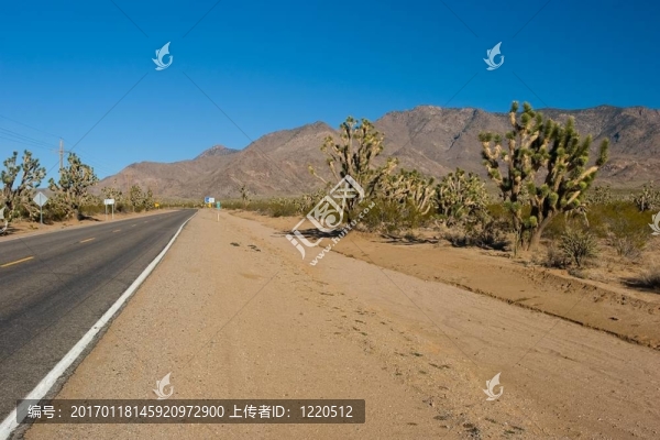 西大峽谷
