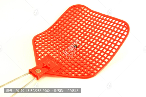 蒼蠅拍