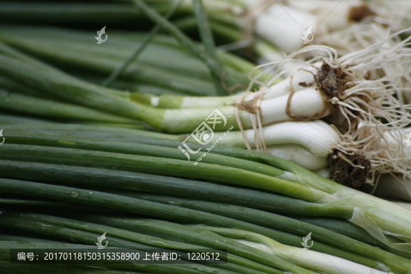 蔥
