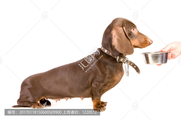意志的力量