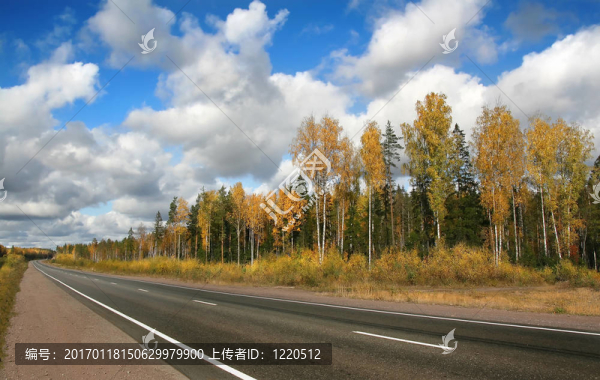 公路；秋天