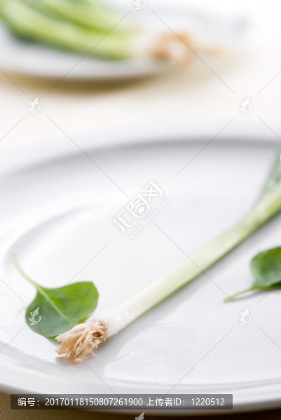 在板上的高關(guān)鍵綠色洋蔥
