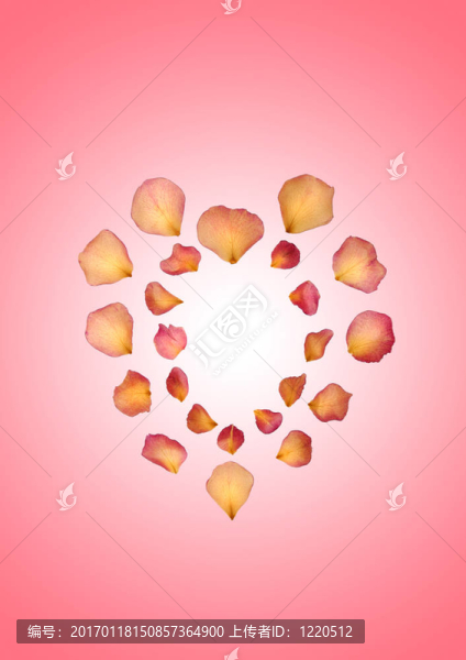 玫瑰花瓣的心